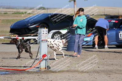 media/Apr-10-2022-Speed Ventures (Sun) [[fb4af86624]]/Around the Pits/